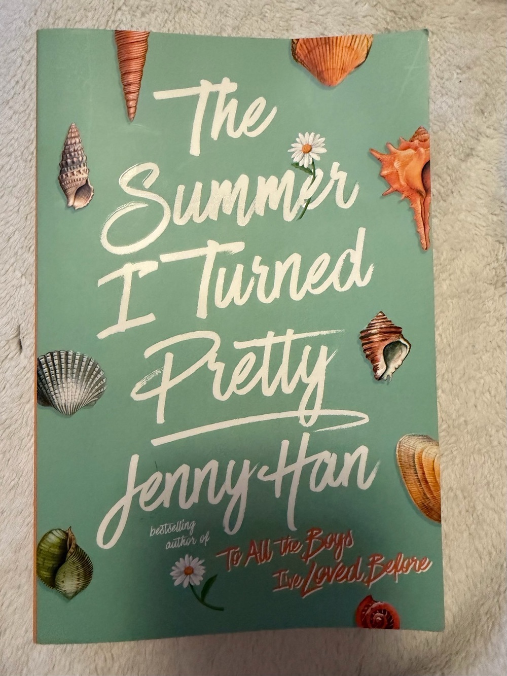 The Summer I Turned Pretty book